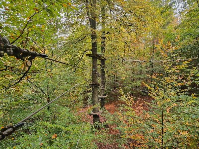 Avontuur bij CapNature Bertrix