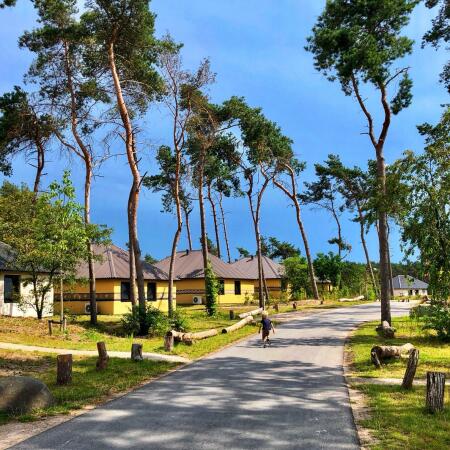 Safari Resort Beekse Bergen met kerst