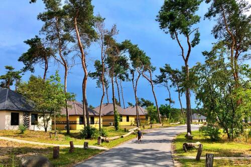 Safari Resort Beekse Bergen met kerst