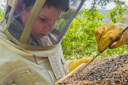 Bezoek Imker in de Ardèche