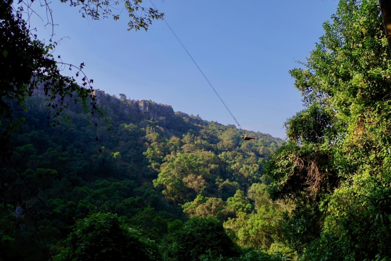 Big Swing Graskop Gorge