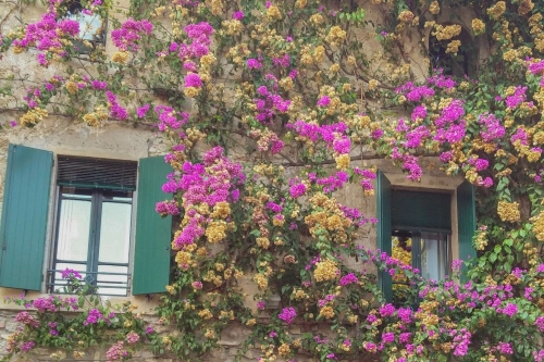 Gevel in Sirmione met bougainvillea, stenen muur en groene luiken