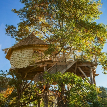 Boomhut in de Vogezen met kinderen overnachten Boomhut in de Vogezen met kinderen overnachten