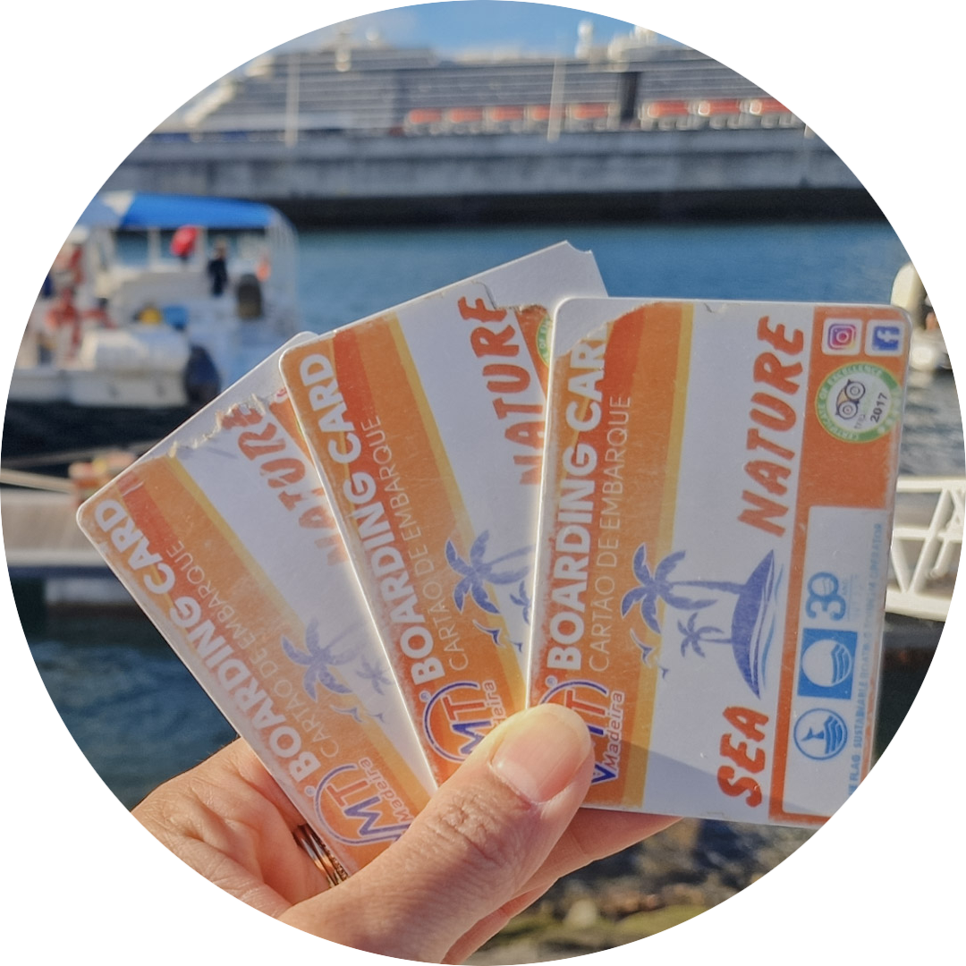 Boottocht dolfijnen tiener