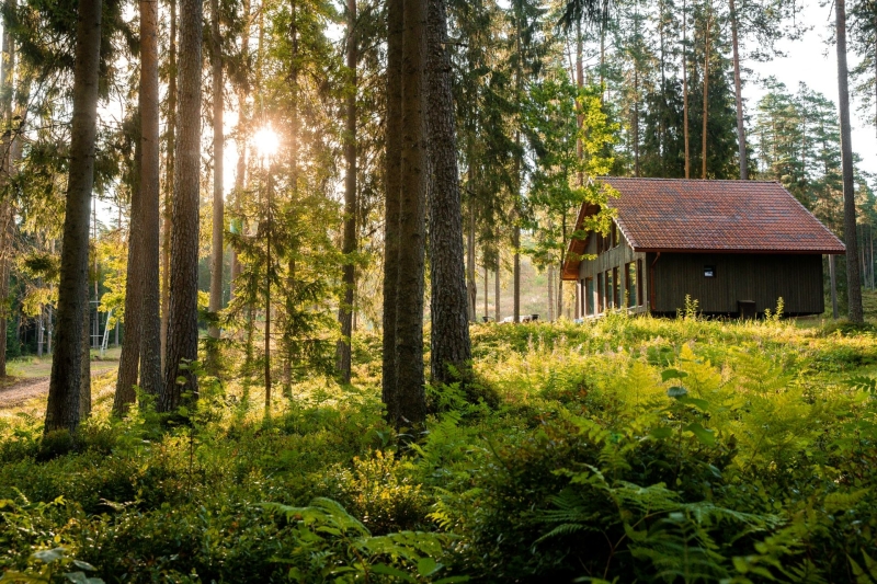 Houten lodge tussen de bomen bij Ozolkalns Camping, een fijne uitvalsbasis in Gauja Nationaal Park.