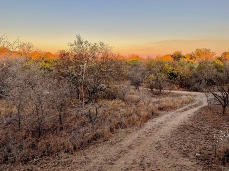 Bushveld Terrace on Kruger Zuid-Afrika sudowner