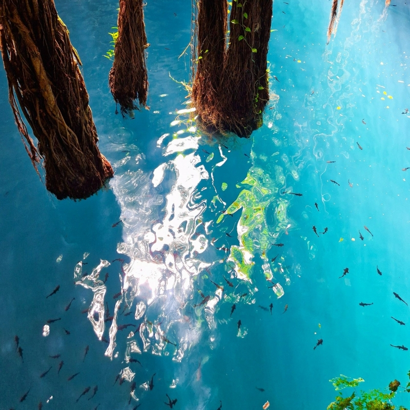Cenote bij Valladolid met kinderen