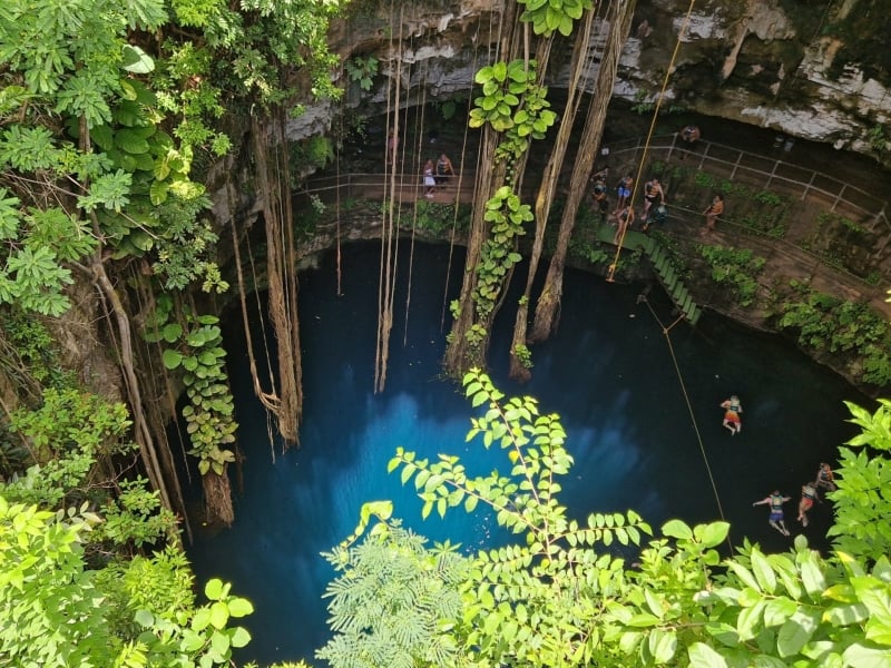 Cenote Oxman hangende wortels uitzicht