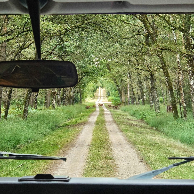 Château de Chambord park met 4x4 tour