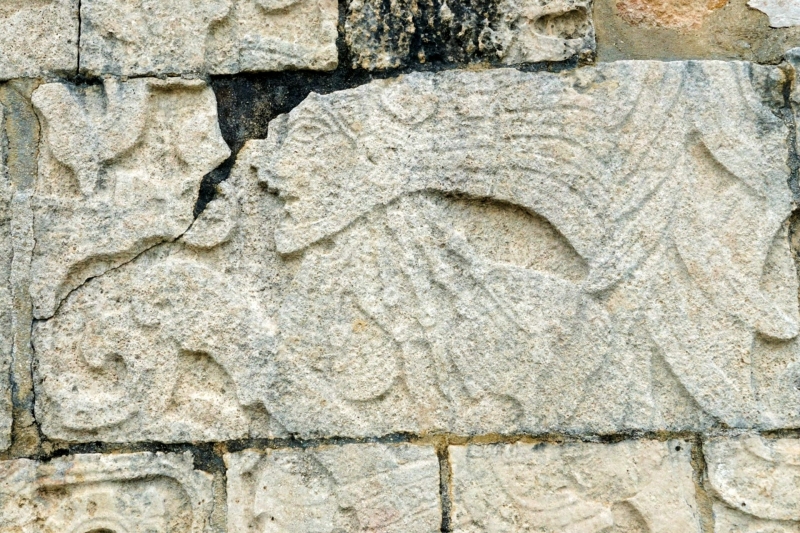 Stenen reliëf in Chichén Itzá Detail van een verweerd stenen reliëf met diermotief in de ruïnes van Chichén Itzá.