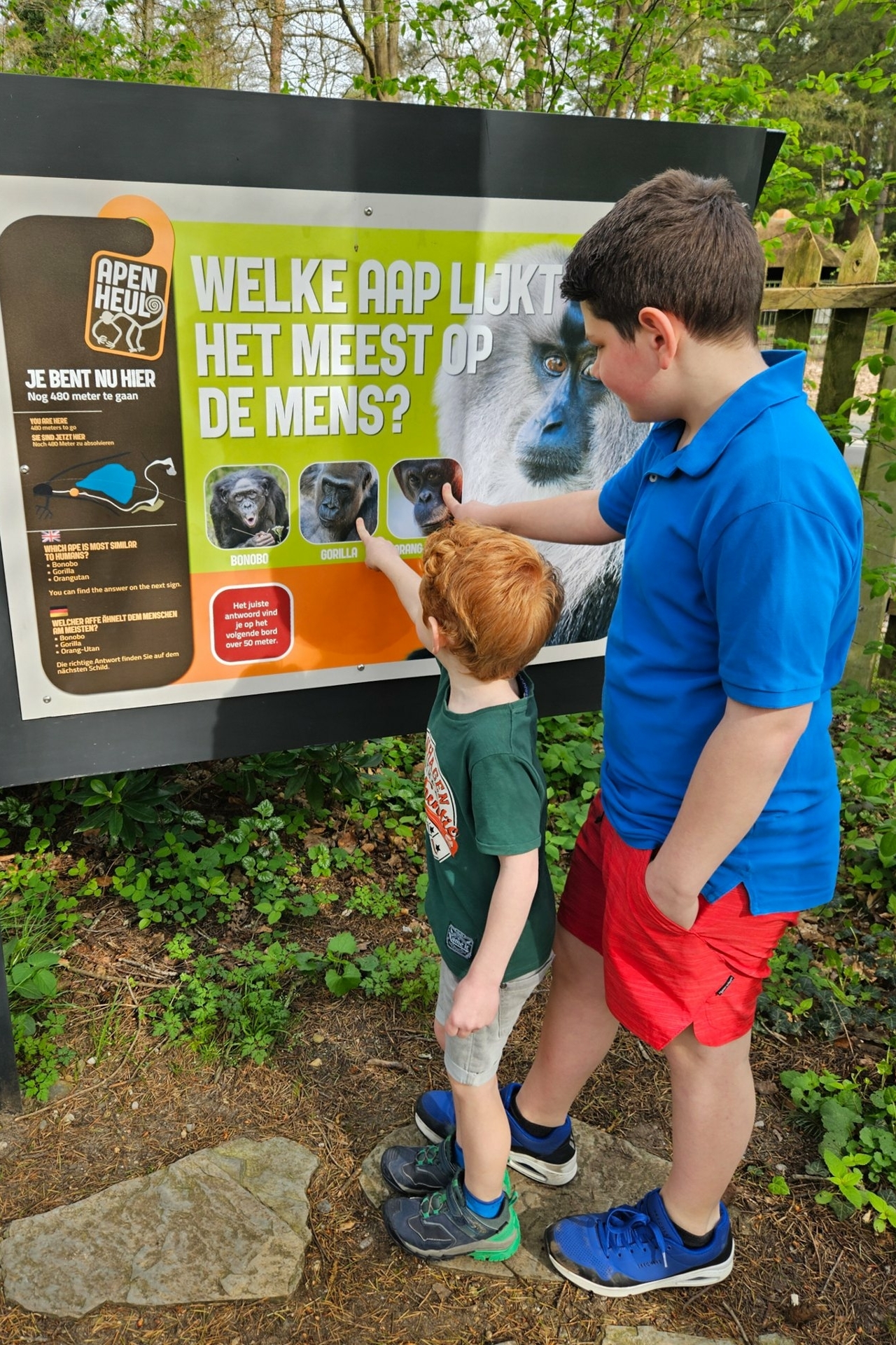 Dagje Apenheul op de Veluwe