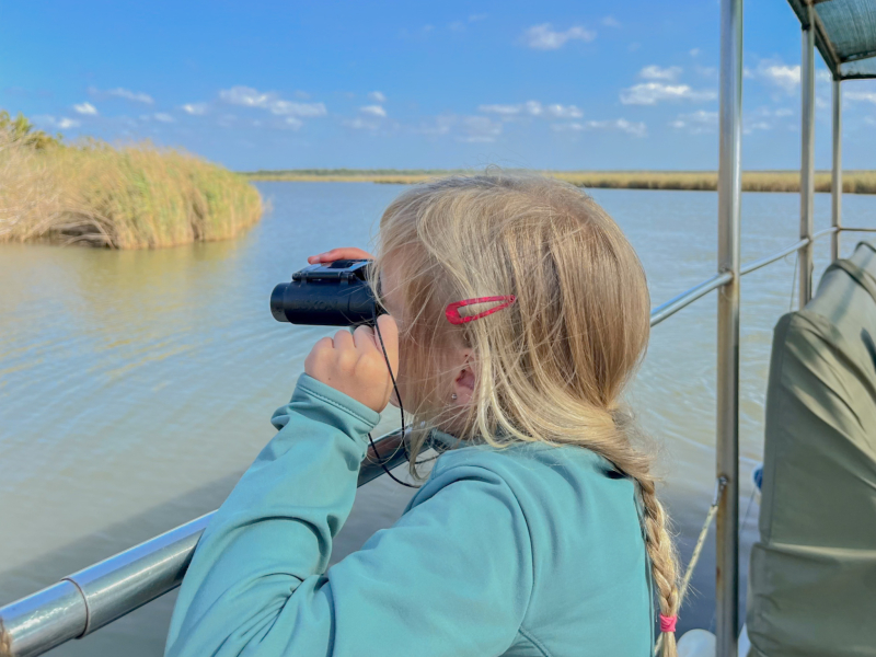 Dieren spotten vanaf de boot