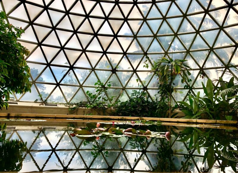 Brisbane met kinderen: Tropical Dome in de botanische tuin (Mount Coot-tha)