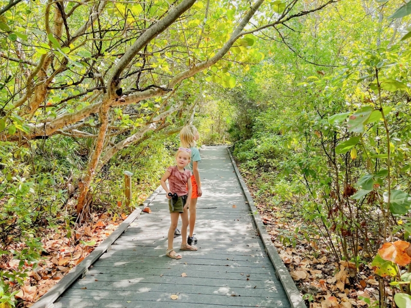 Dr. Von D. Mizell-Eula Johnson State Park