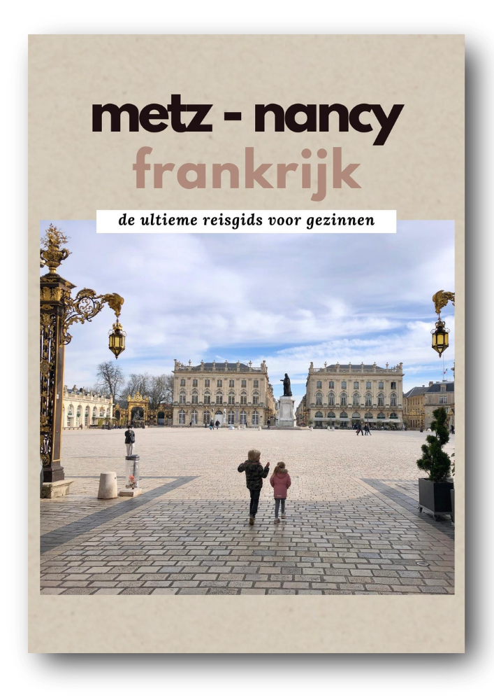 E-book Metz Nancy met kinderen