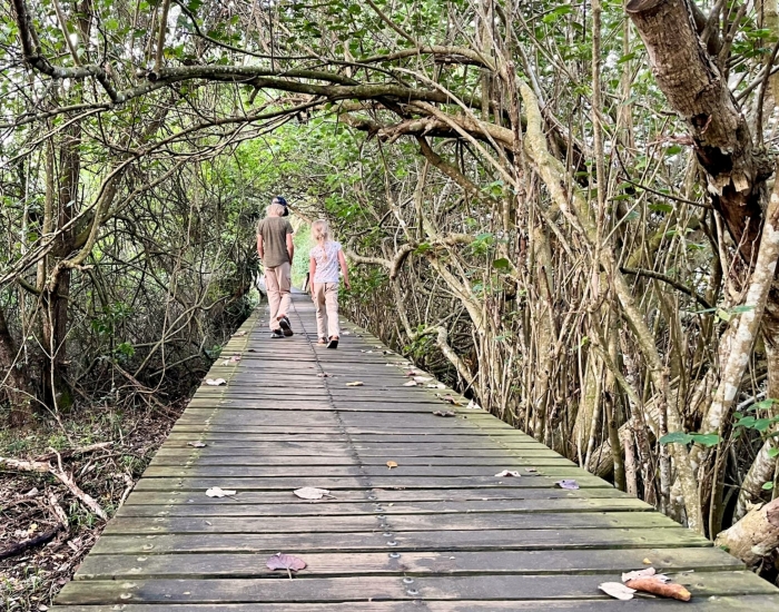 Estuary boardwalk Mtubatuba Zuid-Afrika