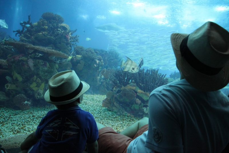 Aquarium van Lissabon met kinderen als familie-uitje