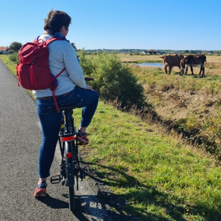 Fietsen in de Vendée met gezin
