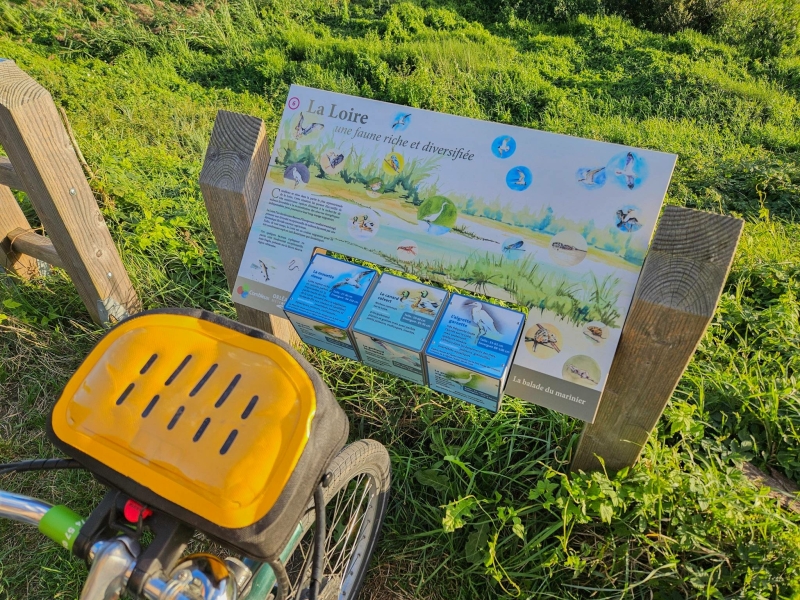 Fietsen langs de Loire met kinderen