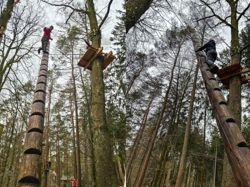 Forestia klimpark met tiener