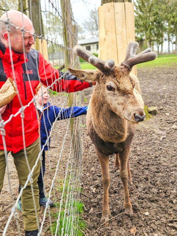 Forestia wildpark Ardennen met kinderen