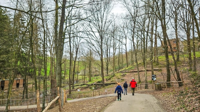 Forestia wildpark Ardennen met gezin