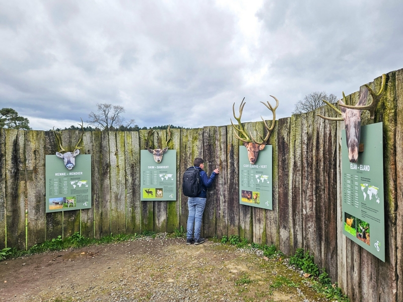 Forestia wildpark Ardennen educatief