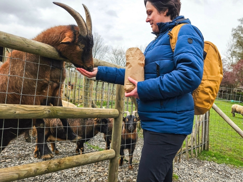 Forestia wildpark dieren voeren