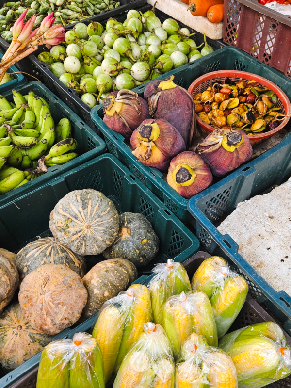 Fruitmarkt fietstour bezoek