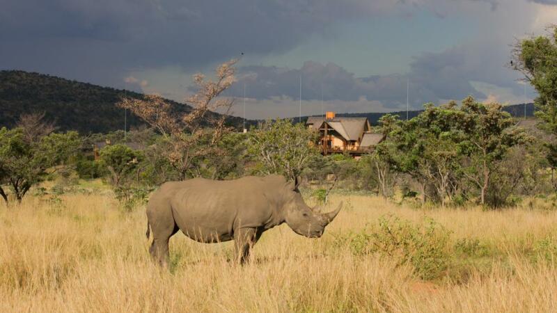 Game Reserve in Zuid-Afrika met kinderen