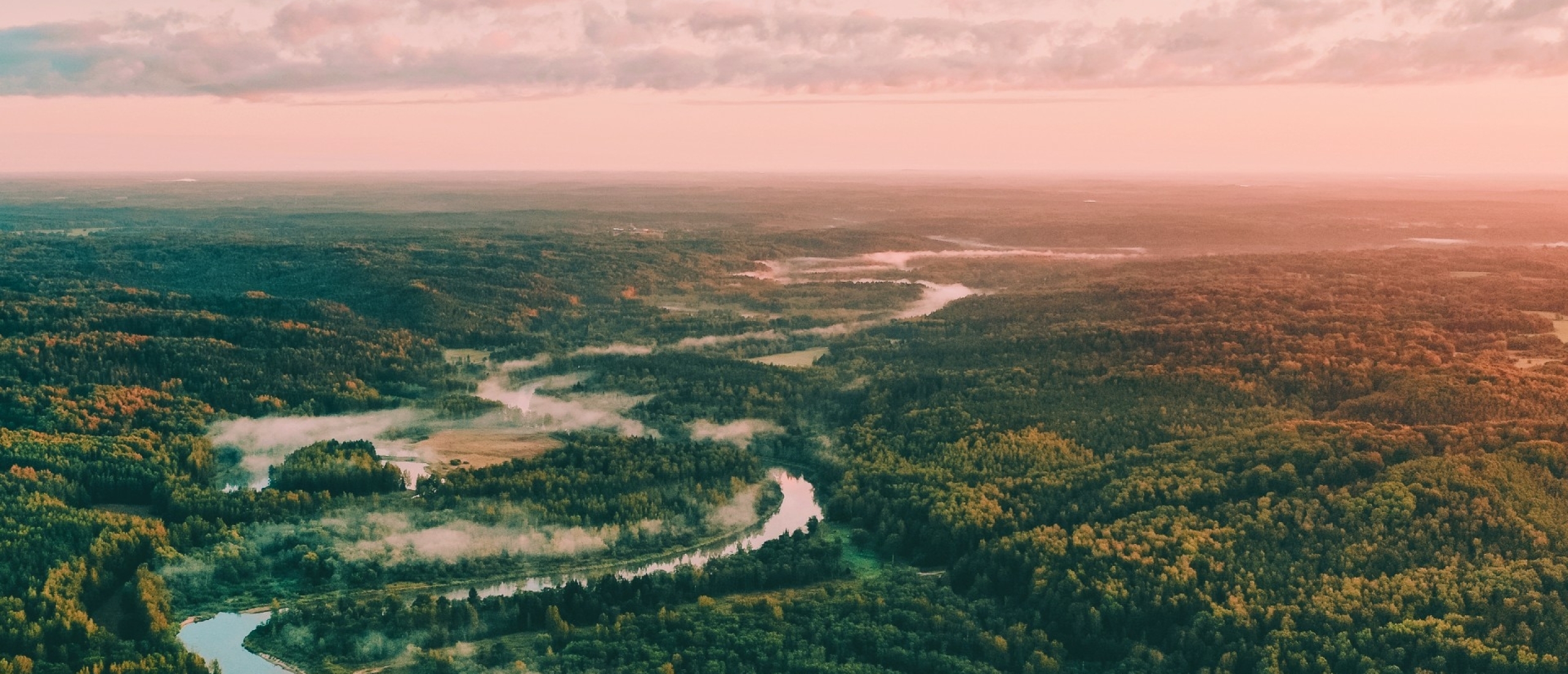 Uitzicht over de Gauja rivier en bossen