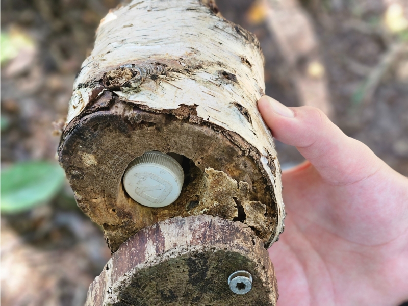 Geocaching met kinderen