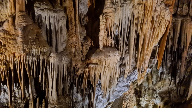 Grotten van Postojna tips