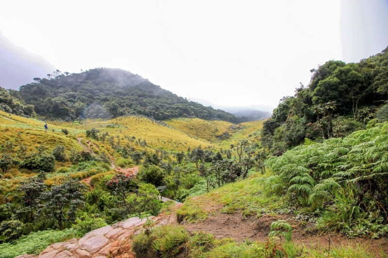 Horton Plains World's End