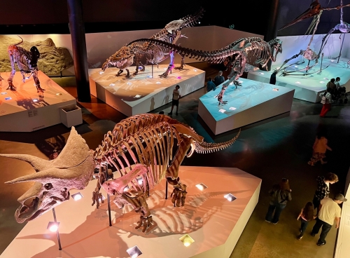Houston Museum of Natural Science Dinosaurus tentoonstelling