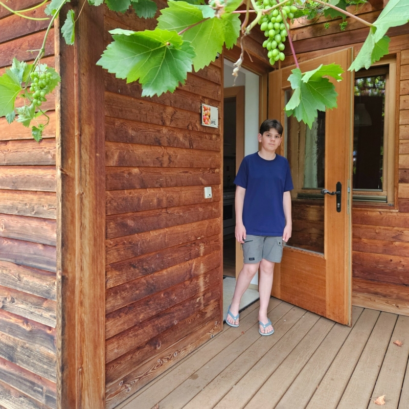 Huisjes Zell am Ziller camping Hofer
