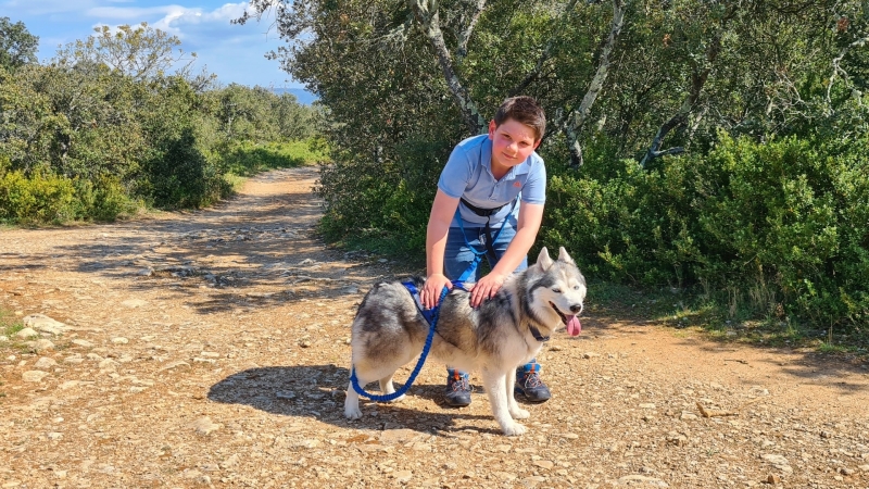 Husky wandeling met kinderen