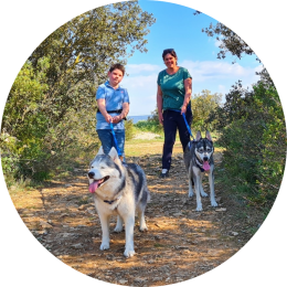 Husky wandeling Provence met kinderen