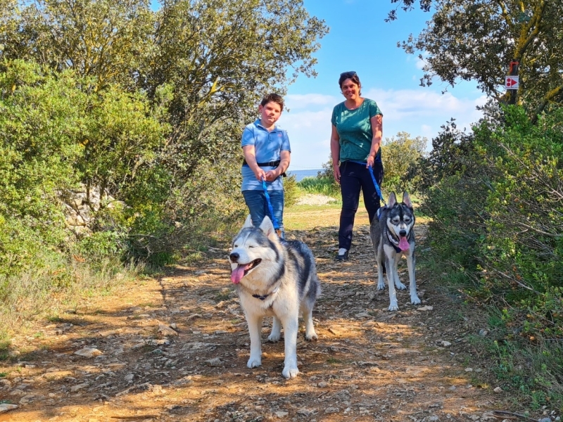 Husky wandeling Provence met kinderen