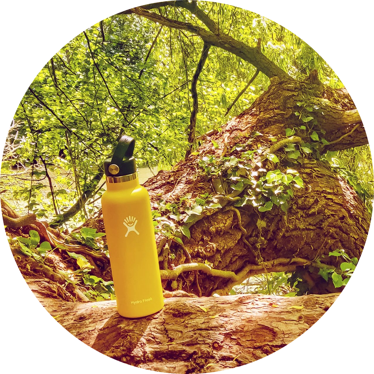Hydroflask review