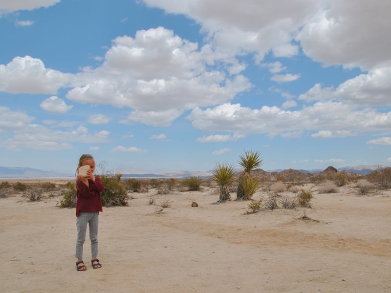 Joshua Tree National Park met kinderen in Amerika