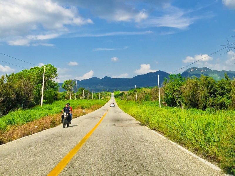 Huurauto langs bochtige jungleweg in Mexico tijdens een gezinsroadtrip