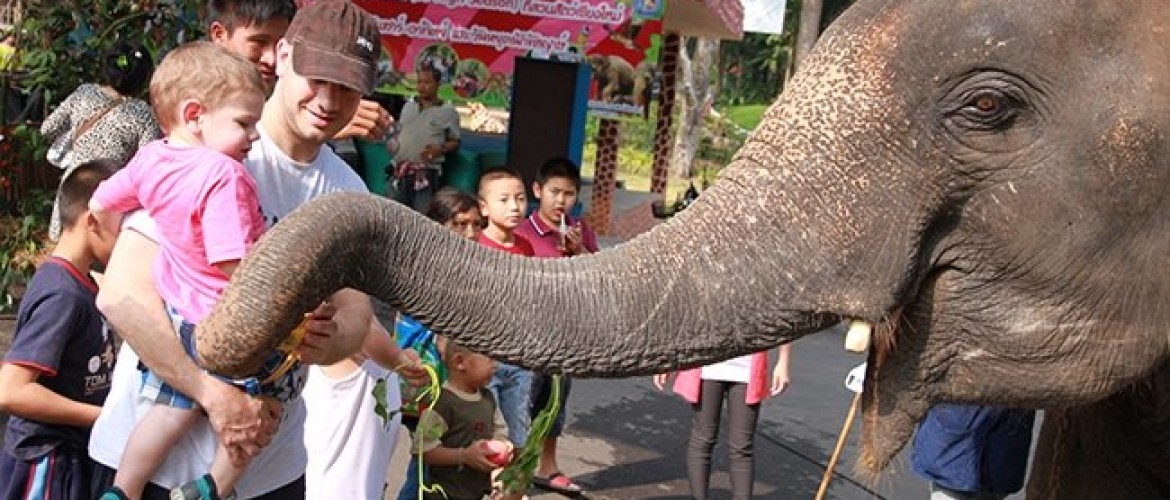 Chiang Mai Zoo, te dicht bij de dieren