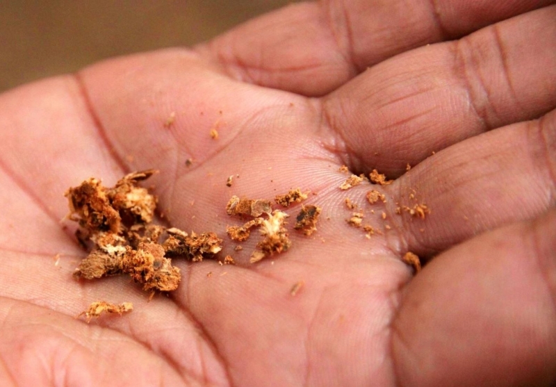 Ayurveda leer, werking van kaneel