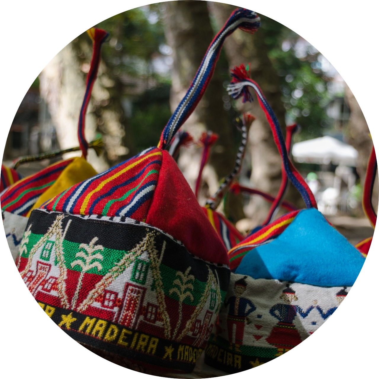 Kerstvakantie Madeira met kinderen