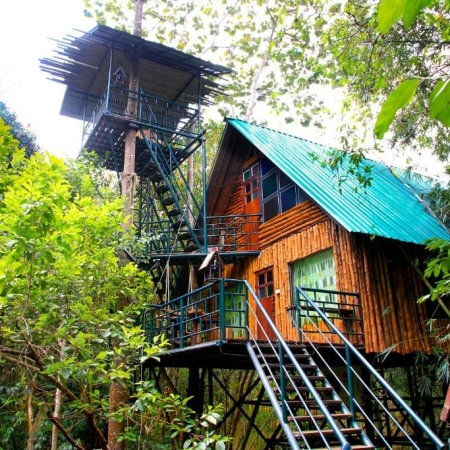 Khao Sok Tree House Resort