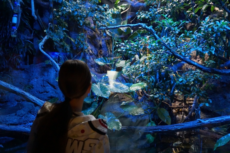 Kind kijkt naar regenwoudhuis in Tiergarten Schonbrunn