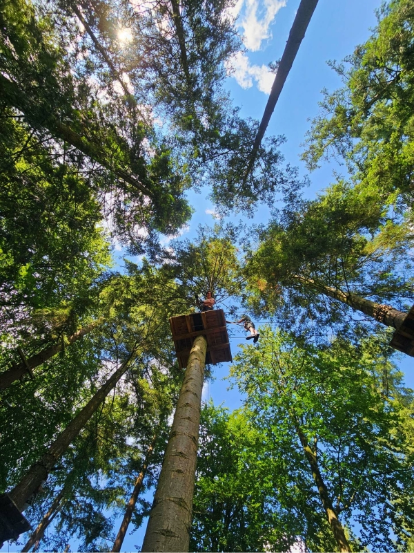 Klimbos Veluwe Apeldoorn bruine route