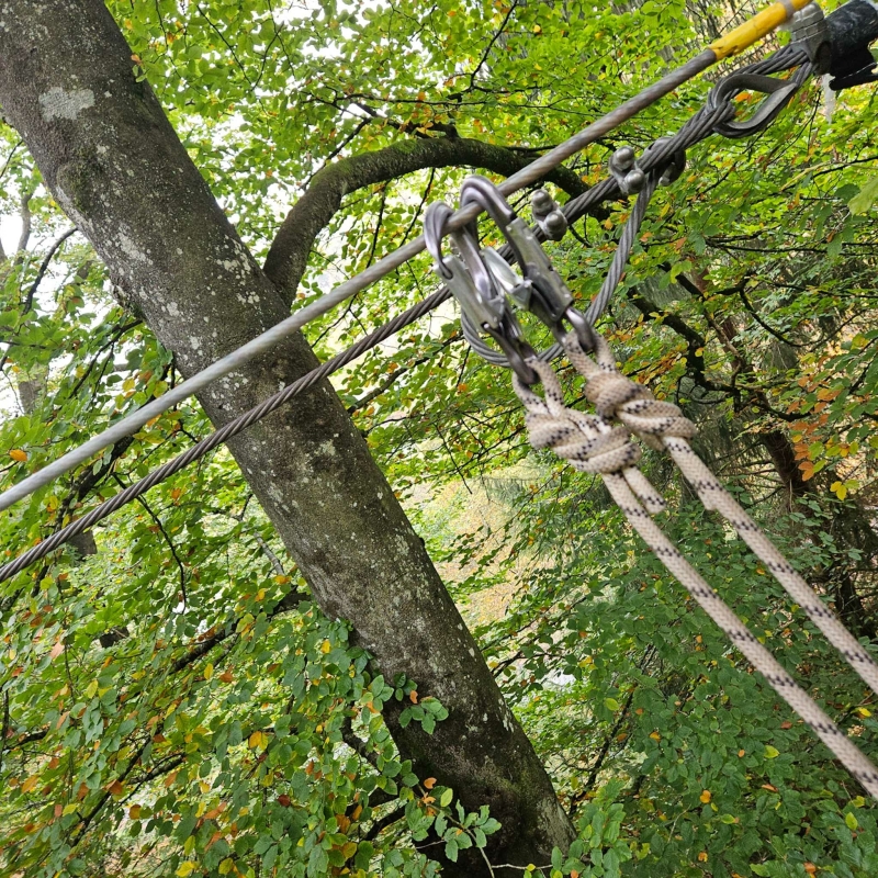 Klimpark Ardennen met kinderen