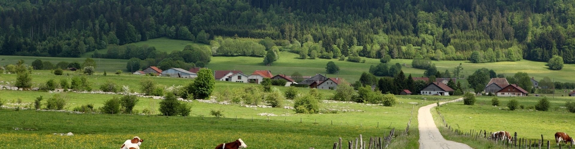 Vakantie Bourgogne-Franche-Comté met kinderen